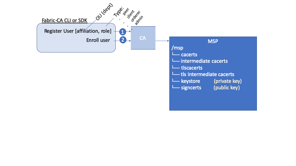 ../_images/ca-msp-visualization.png